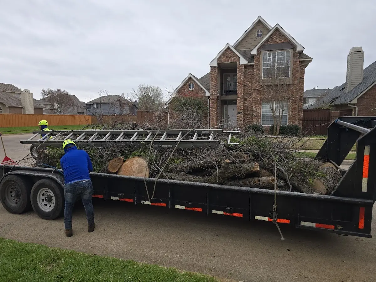 Expert Lot Clearing with proper safety equipment in Royal